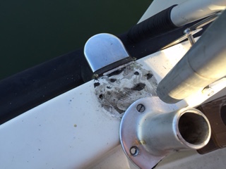 Guy kaidetolppa.jpeg