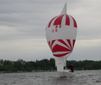 Fin891 spinnuillen.jpeg